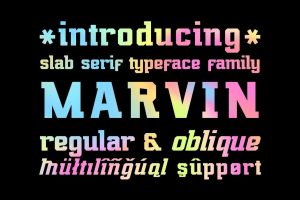 Marvin regular & oblique Font Free Download