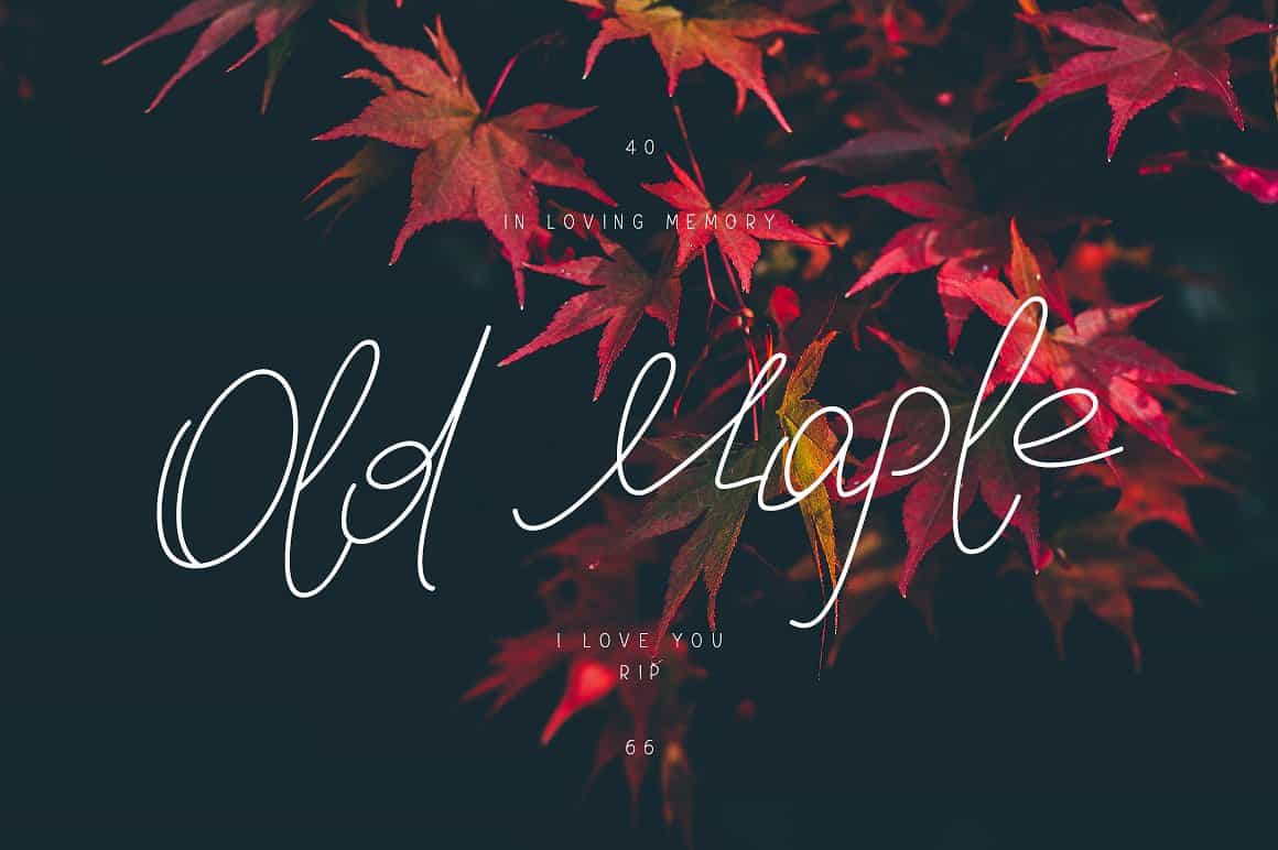 Old Maple Font Free Download