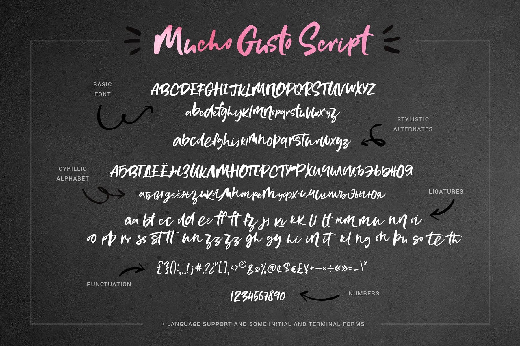 Mucho Gusto Family Font Free Download