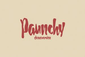 Paunchy Font Free Download