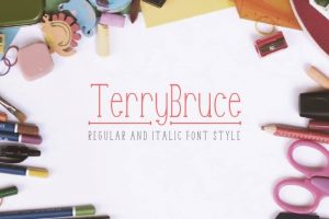 Terry Bruce Font Free Download 