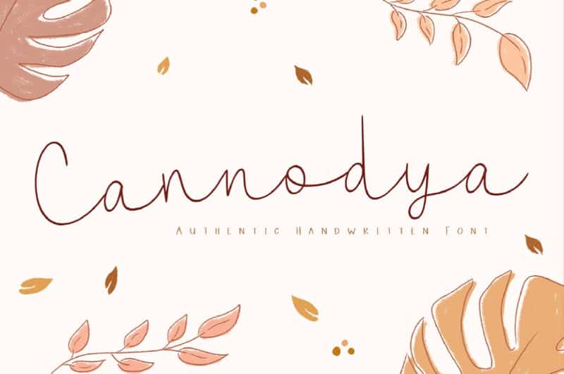 Cannodya Font Free Download