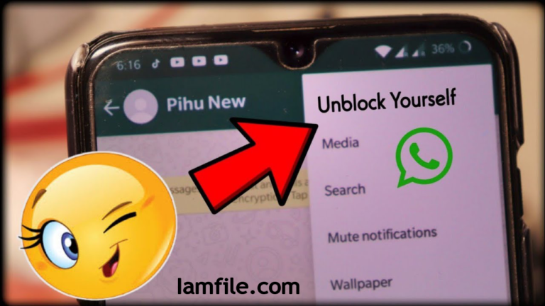 How to unblock/ unfreeze yourself on WhatsApp?