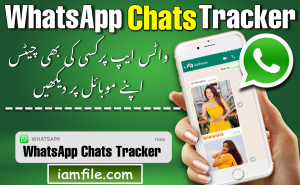 How to Check Others WhatsApp Chat History and Details